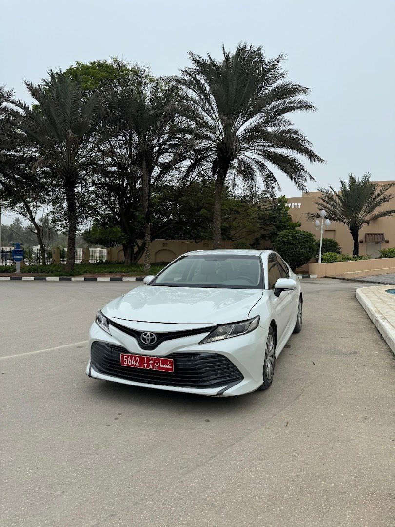 A palm-lined road in Dubai